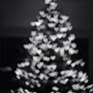 Meet your Posher, Gaby